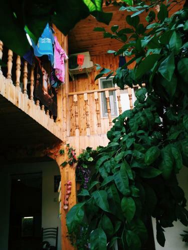 Hostal Guest House U Larisy