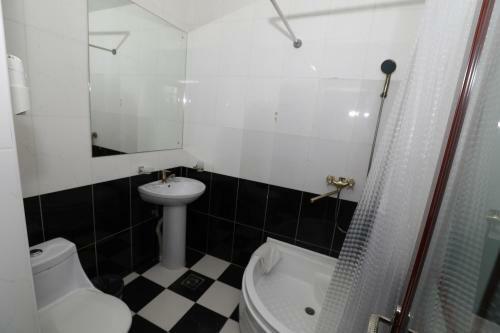 Hotel Svetly Put Apsny