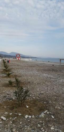 Posada Gudauta Kottedzhny Kompleks
