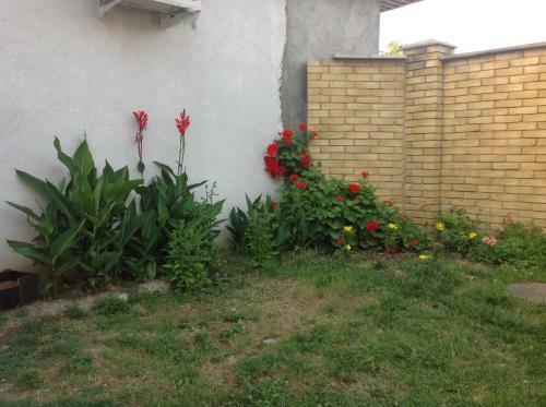 Hostal Guest House In Gudauta