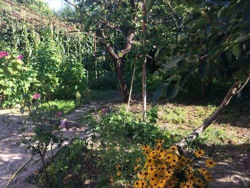 Hostal Guest House Nartaa