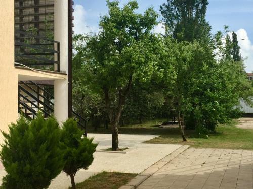 Hostal Rozalin Guest House