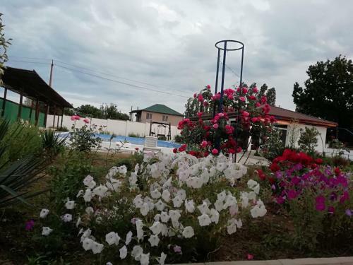 Serebryany Plyazh Hotel
