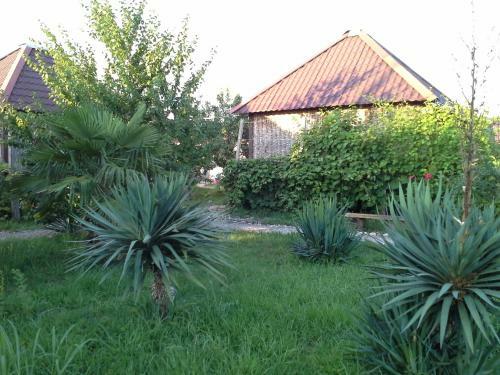 Cottages Bambora