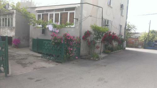 3 Room Apartment In Sukhum