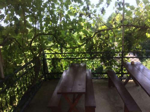 Hostal Guesthouse At Oleg's Zolotoy Bereg