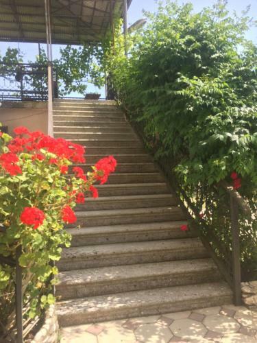 Hostal Guesthouse At Oleg's Zolotoy Bereg
