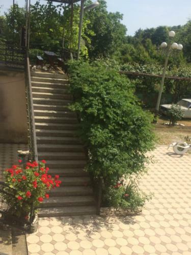 Hostal Guesthouse At Oleg's Zolotoy Bereg