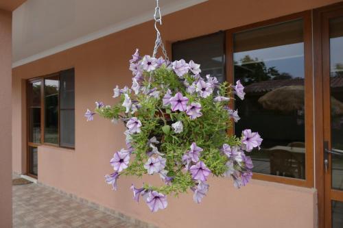 Hostal Anzor Guest House