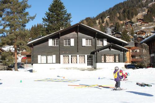 Chalet Bruy�re