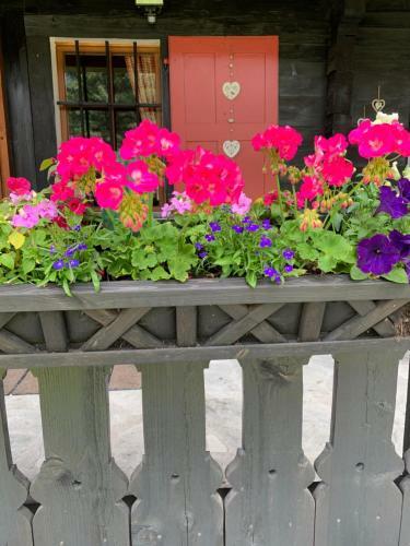 Chalet Cergnat Bed And Breakfast