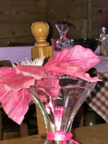 Chalet Cergnat Bed And Breakfast