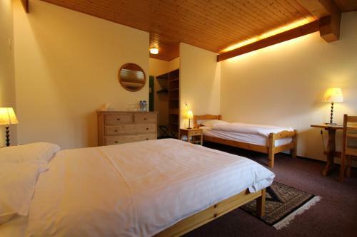 Hotel Lodge Roc Et Neige