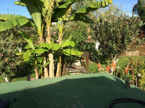 Hostal Guest House Gelios