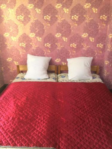 Hostal Guest House U Larisy