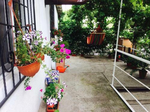 Hostal Sariya