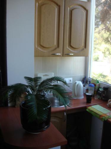 Apartamento Kvartira Abazgaa 43/1