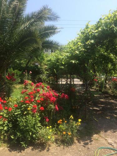 Bed & Breakfast Guesthouse Mira