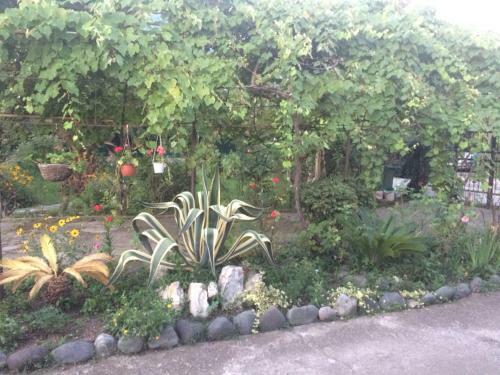 Bed & Breakfast Guesthouse Mira