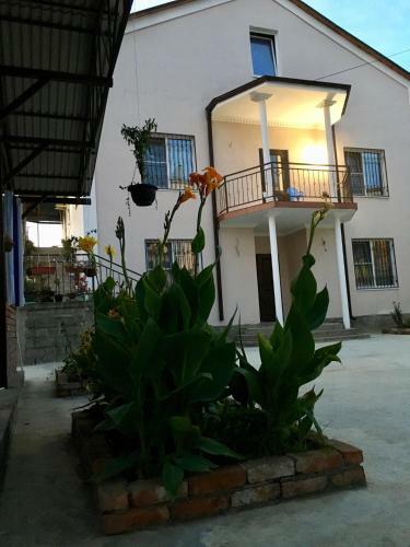 Hostal Nadia
