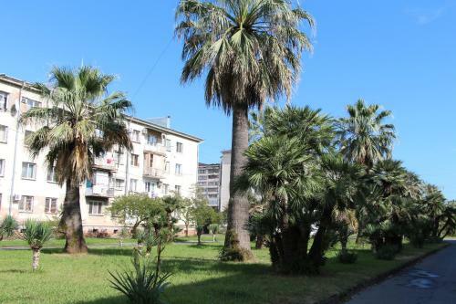 Hotel Assir