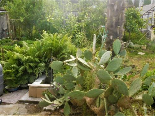 Hostal Guesthouse On Adleiba 75