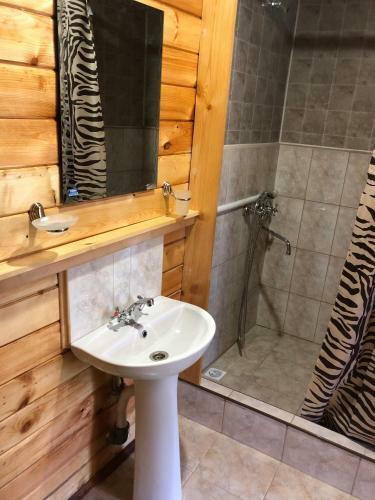 Homestay Hozyaivami