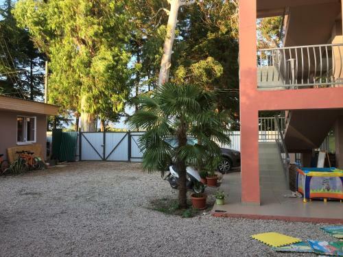 Hostal Guest House Greenwood