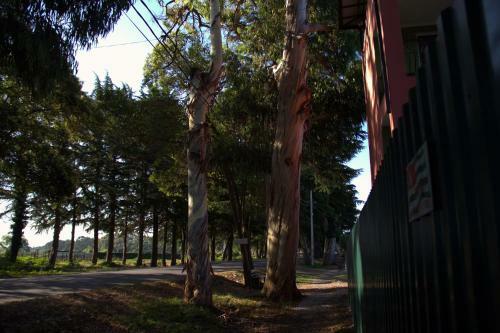 Hostal Guest House Greenwood
