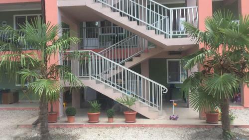 Hostal Guest House Greenwood
