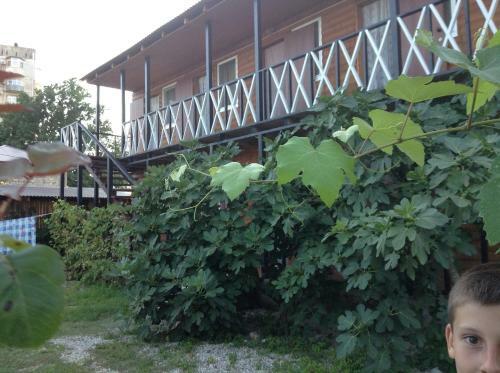 Hostal Guest House "chaika"