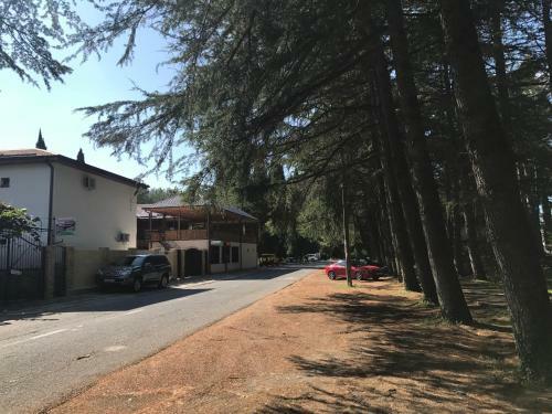 Hostal Guest House Mayana