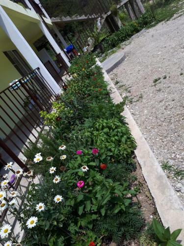 Hostal Zolotaya Buhta 12