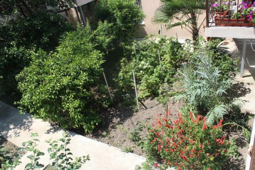 Hostal Guest House Diana