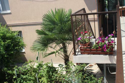 Hostal Guest House Diana