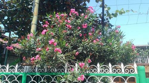 Posada Guest House U Natalyi