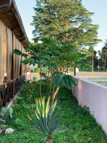 Apartment On Tsitrusoviy Poselok 6a