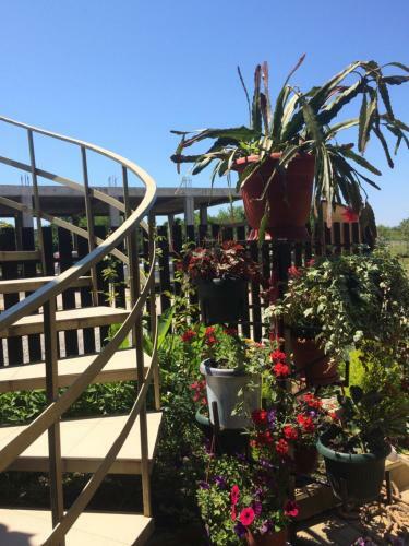 Hostal Guest House Morskaya Skazka
