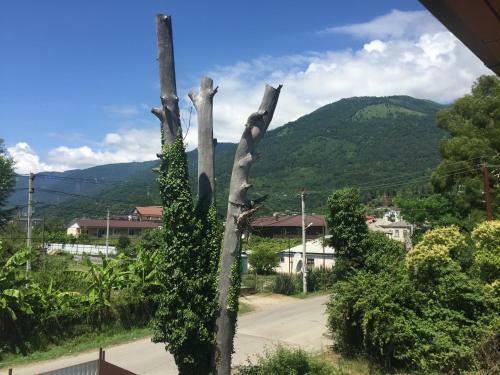 Hostal Guest House Alamys