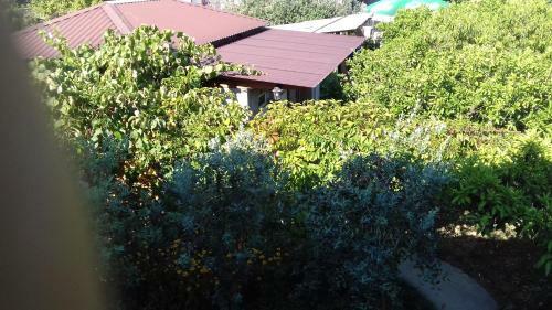 Hostal Guest House Zelenyi Dvorik