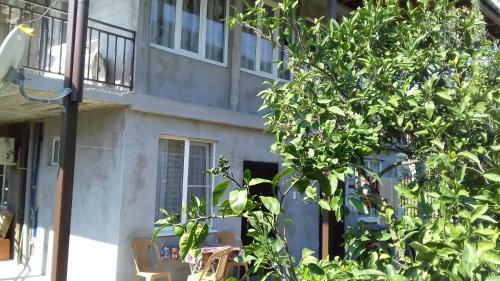 Hostal Guest House Zelenyi Dvorik