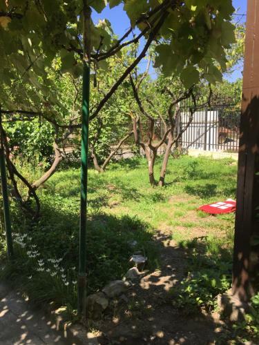 Hostal Guest House Zelenyi Dvorik