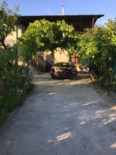 Hostal Guest House Zelenyi Dvorik