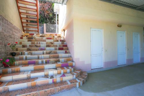 Hostal Fiesta Life