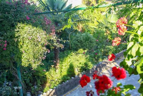 Hostal ???????? ??? "????????"