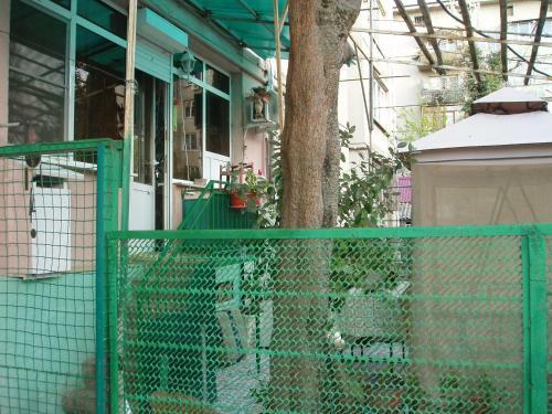 Apartment On Abazgaa