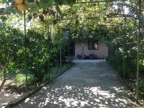 Hostal D'emil Guest House