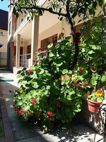 Hostal Runo Guest House
