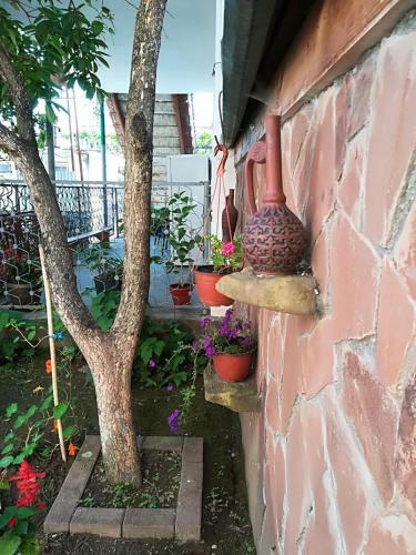 Hostal Runo Guest House