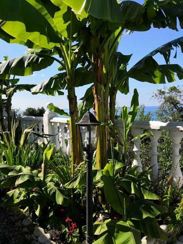 Hostal Guest House Amra